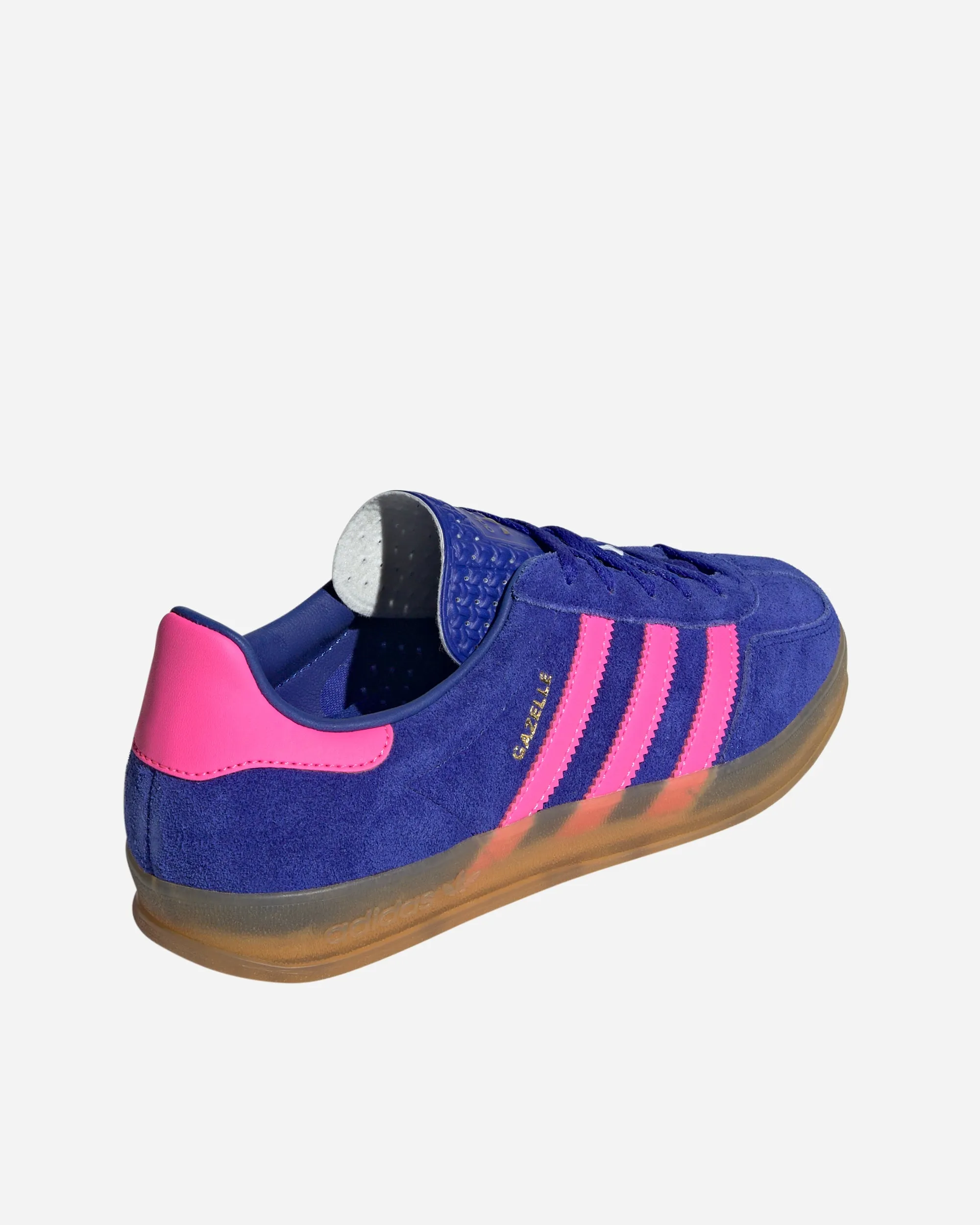 Gazelle Indoor