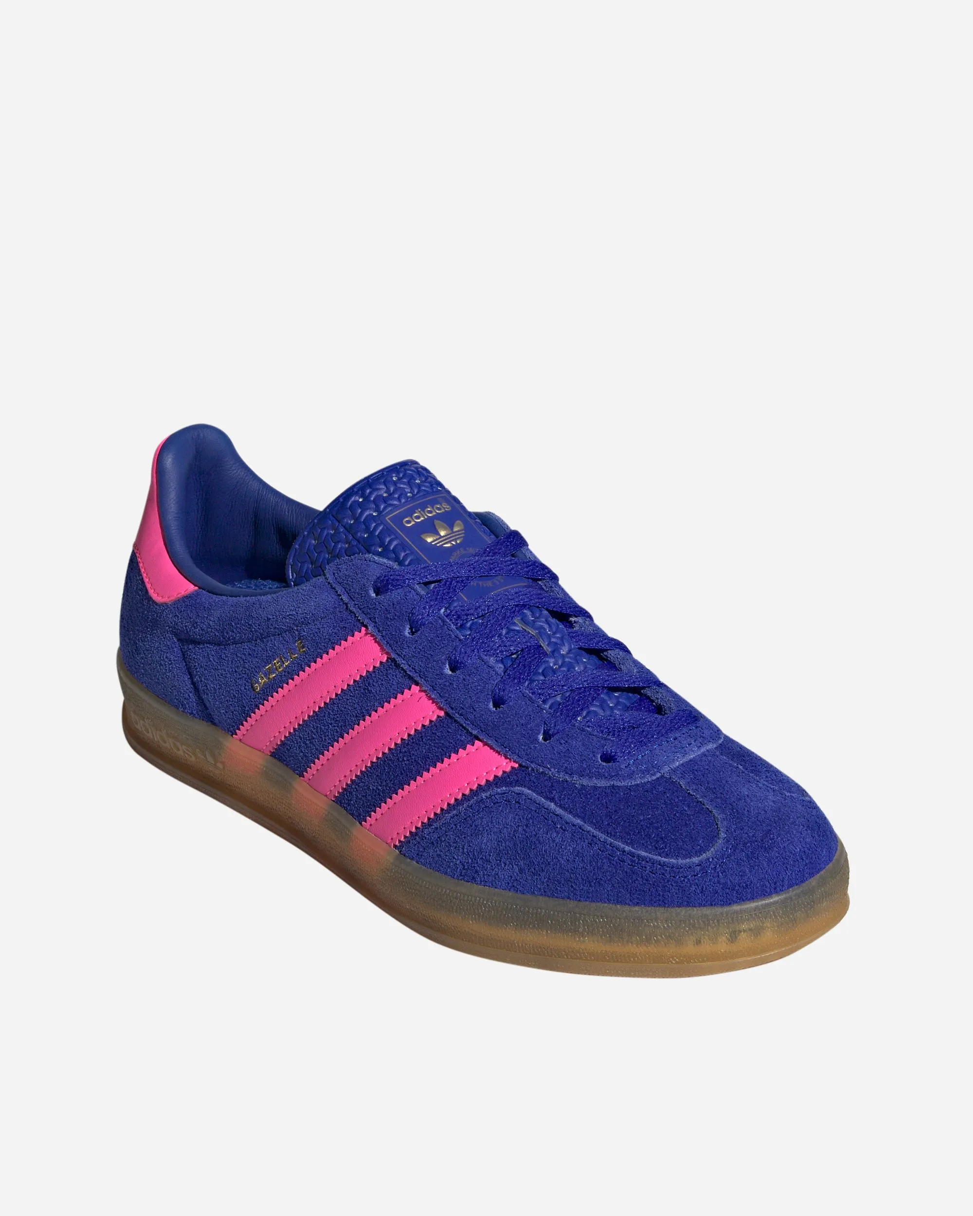 Gazelle Indoor