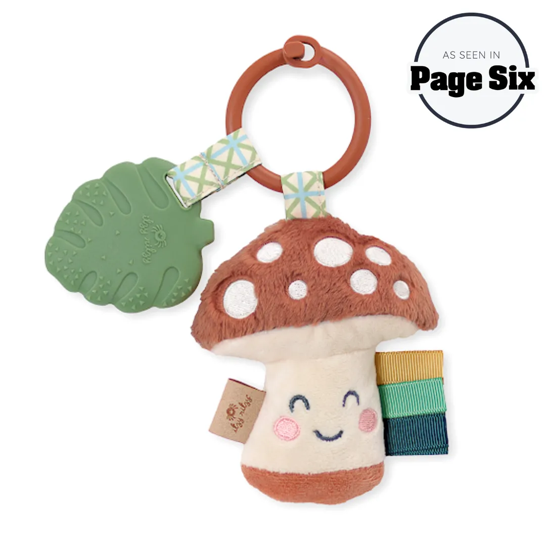 Itzy Pal™ Infant Toy